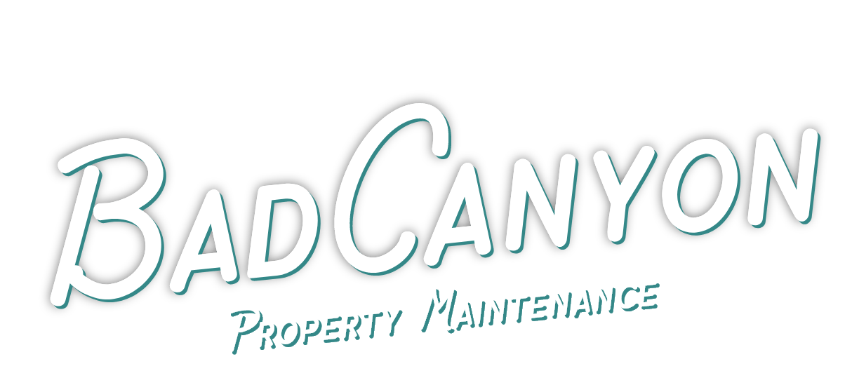 Bad Canyon logo