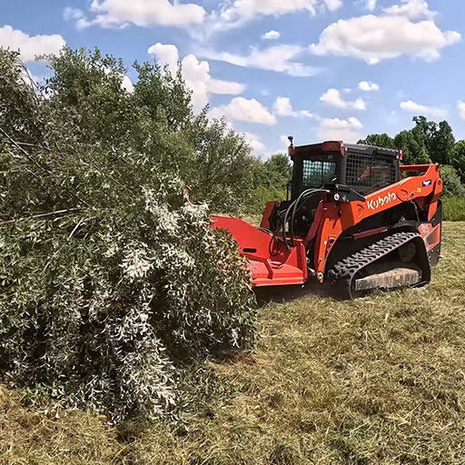 Mulching trees with a skid steer